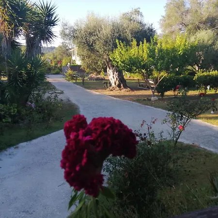 Ktima Theofilos - Frideriki * Petriti (Corfu)