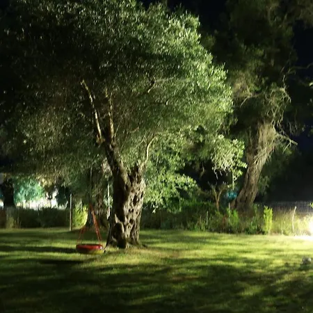 Guest house Ktima Theofilos - Frideriki Petriti (Corfu)