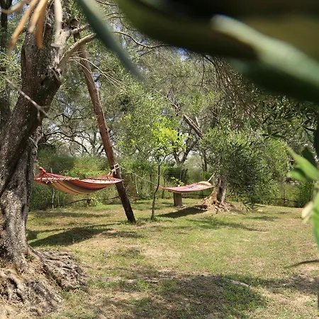 Guest house Ktima Theofilos - Frideriki *