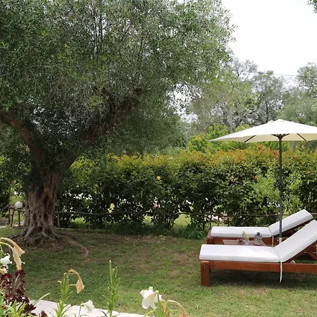 Ktima Theofilos - Frideriki * Petriti (Corfu)