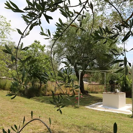 Ktima Theofilos - Frideriki