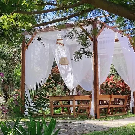 Guest house Ktima Theofilos - Frideriki