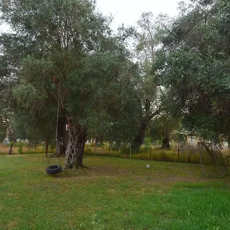 Ktima Theofilos - Frideriki Petriti (Corfu)