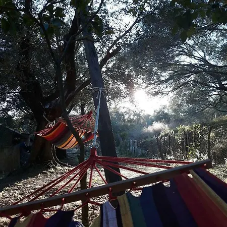 Ktima Theofilos - Frideriki Guest house