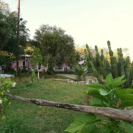 Ktima Theofilos - Frideriki