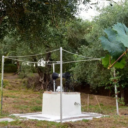 Ktima Theofilos - Frideriki * Petriti (Corfu)