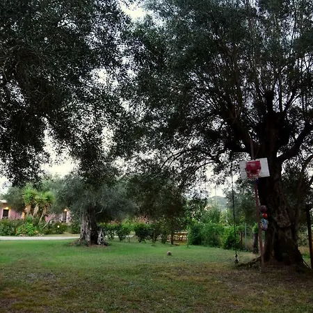 Guest house Ktima Theofilos - Frideriki Petriti (Corfu)
